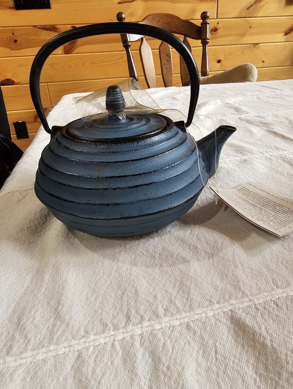 TETSUBIN Blue Cast Iron Teapot with Handle
